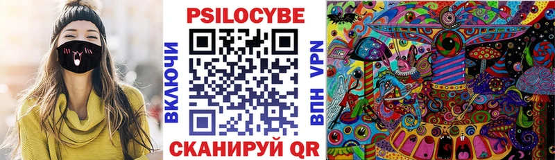 Галлюциногенные грибы Psilocybine cubensis  Подпорожье 